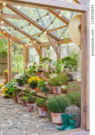 Greenhouse with potted flowers and plants on garden background. Gardening hobby, plant growing Greenhouse with potted flowers and plants on garden background. Gardening hobby, plant growing 119858843