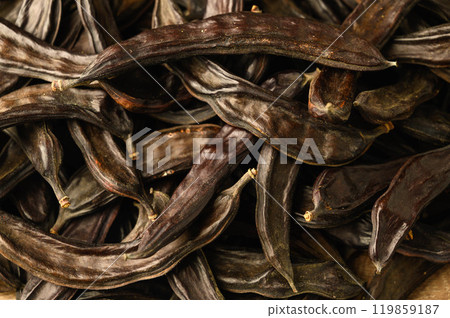 carob pods in the process of ripening 119859187