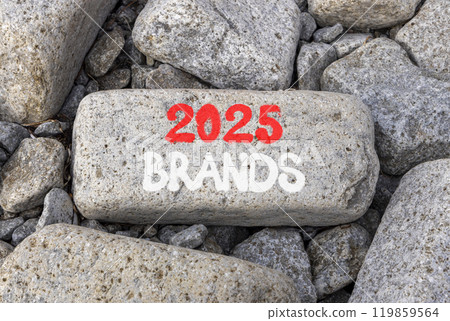 Planning 2025 brands new year symbol. Concept words 2025 Brands on beautiful grey stone. Beautiful grey stones background. Business 2025 brands new year concept. Copy space. 119859564