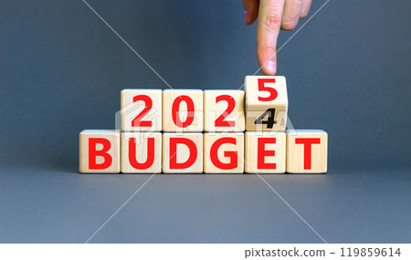 Planning 2025 budget new year symbol. Concept words 2024 Budget to 2025 Budget on beautiful wooden blocks. Beautiful grey table grey background. Business 2025 Budget new year concept. Copy space. Planning 2025 budget new year symbol. Concept words 2024 Budget to 2025 Budget on beautiful wooden blocks. Beautiful grey table grey background. Business 2025 Budget new year concept. Copy space. 119859614