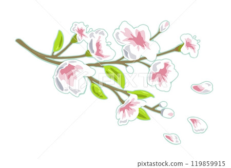Sakura blossom. Cherry branch with flowers and bud. Petals falling. 119859915