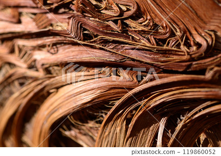 Intricate patterns of dried palm leaves showcasing nature\'s artistry in vibrant brown tones during daylight Intricate patterns of dried palm leaves showcasing nature\'s artistry in vibrant brown tones during daylight 119860052