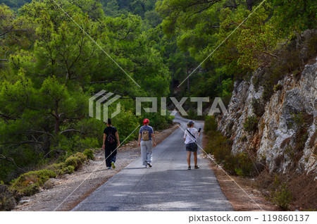 Three hikers walking along a winding road surrounded by lush greenery in a serene forest during a sunny day Three hikers walking along a winding road surrounded by lush greenery in a serene forest during a sunny day 119860137