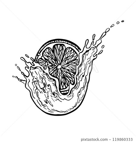 A slice of citrus fruit in juice. Vector graphic illustration of sliced juicy lime, orange, grapefruit. A black and white hand-drawn image of citrus fruits. For menus, labels, cooking recipes. 119860333