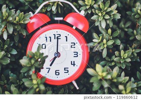 Red alarm clock and green background Red alarm clock and green background 119860612