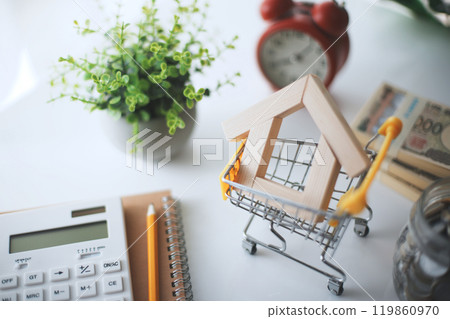 Wooden house and money in a shopping cart 119860970
