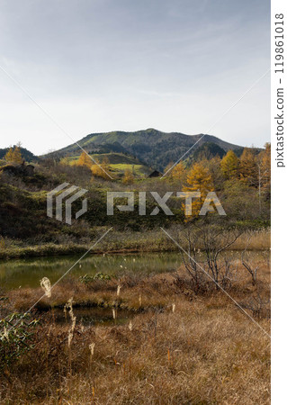 Weapon-free Pond, Kusatsu Town, Gunma Prefecture 119861018