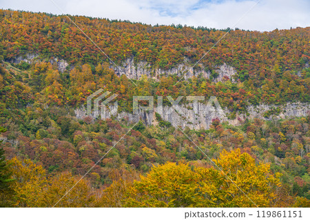 [新潟縣] 秋山鄉坂卷之大倉（屏風岩） 119861151