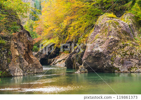 [Niigata Prefecture] Autumn leaves near Sarutobi Bridge in Akiyamago 119861373
