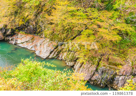 [Niigata Prefecture] Akiyamago - Autumn leaves overlooked from Sarutobi Bridge 119861378