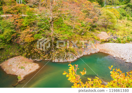 [新潟縣] 秋山鄉、猿飛橋上看到的紅葉 119861380