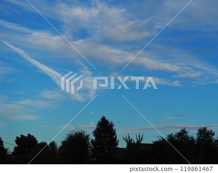 藍天 119861467