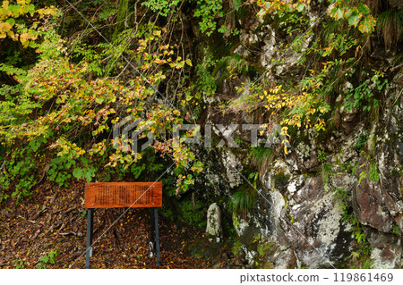 [Niigata Prefecture] Akiyamago in autumn: White Dragon God at Sarutobi Bridge 119861469