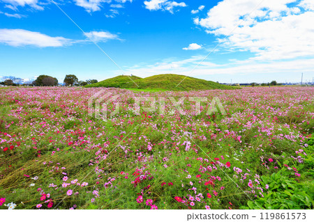 Landscape with cosmos and ancient tombs 119861573