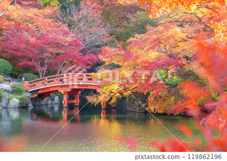 Burning autumn 119862196