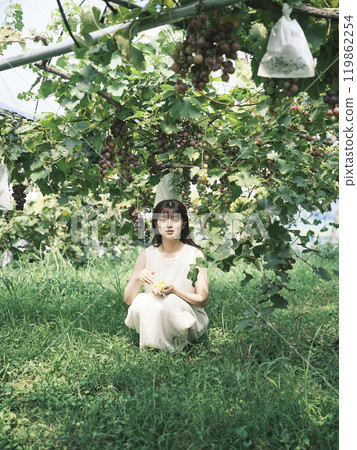 女人採摘葡萄 119862254