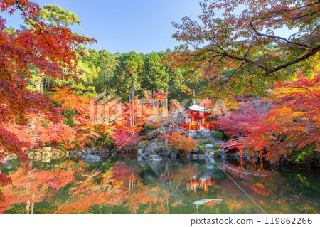 秋天本滕 119862266