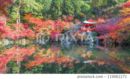 Fall Benten 119862271