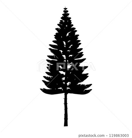Black silhouette of fir-tree. Black silhouette of fir-tree. 119863003