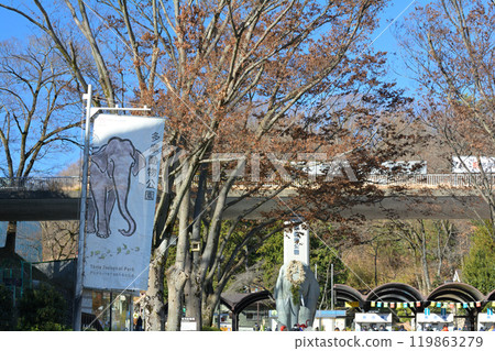 Tama Animal Park 119863279