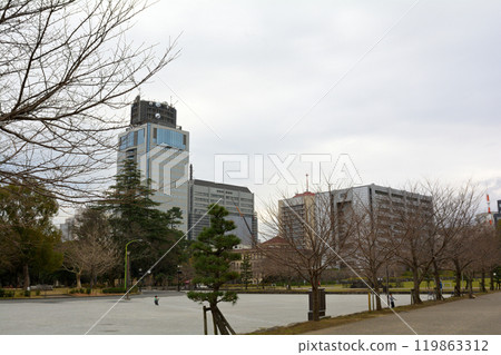 日本城堡百選 駿府城 119863312