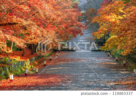 Autumn's House of Representatives Autumn's House of Representatives 119863337