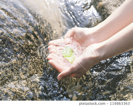Hand of women with sprouts 119863363