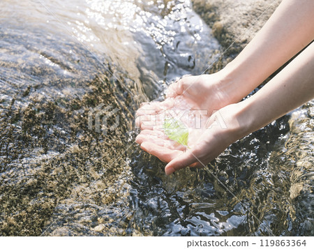 Hand of women with sprouts 119863364