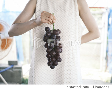 葡萄的女人 葡萄的女人 119863434