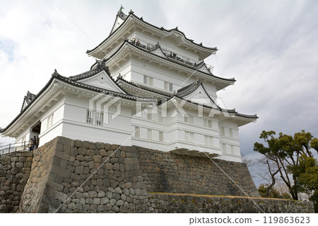 Japan 100 Great castle / Odawara castle Japan 100 Great castle / Odawara castle 119863623