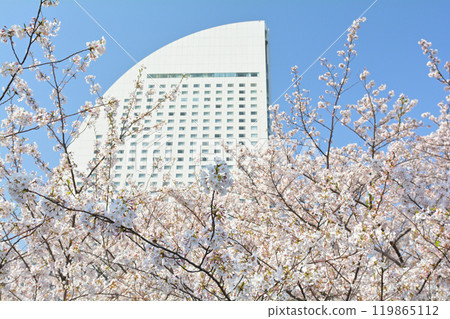 Yokohama Yokohama 119865112