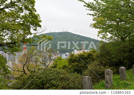 Japan's 100 Famous Castles, Tokushima Castle Japan's 100 Famous Castles, Tokushima Castle 119865165