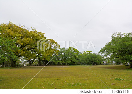 日本的100座著名城堡，德島城堡 119865166