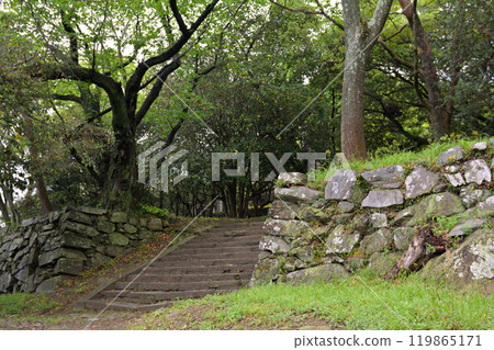 Japan's 100 Famous Castles, Tokushima Castle Japan's 100 Famous Castles, Tokushima Castle 119865171