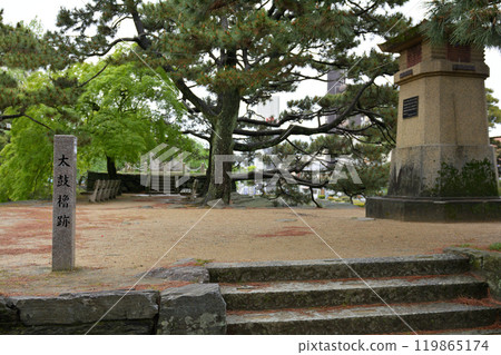 Japan's 100 Famous Castles, Tokushima Castle Japan's 100 Famous Castles, Tokushima Castle 119865174