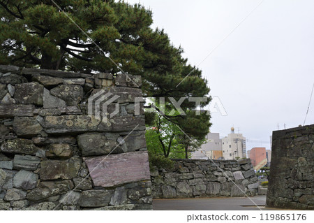 Japan's 100 Famous Castles, Tokushima Castle Japan's 100 Famous Castles, Tokushima Castle 119865176