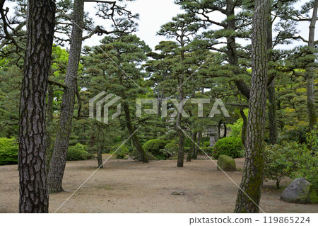 日本的100座大城堡/高松城堡 日本的100座大城堡/高松城堡 119865224