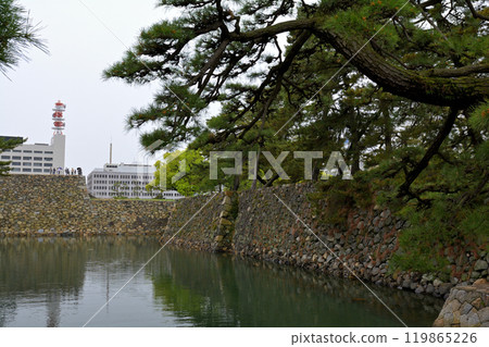 日本的100座大城堡/高松城堡 日本的100座大城堡/高松城堡 119865226