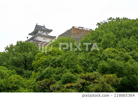Japan's 100 Great Castles / Marugame Castle 119865364