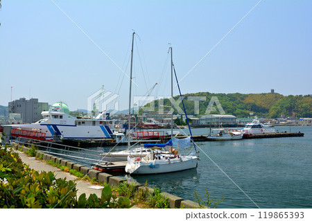 Ehime Uwajima Ehime Uwajima 119865393