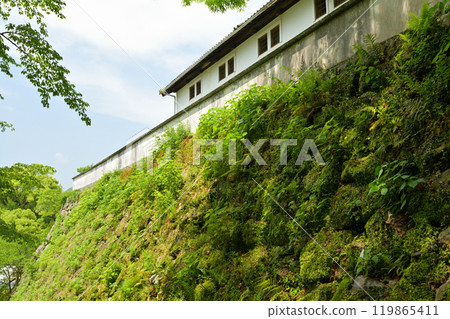 日本的100座大城堡,宇和島城堡 日本的100座大城堡,宇和島城堡 119865411