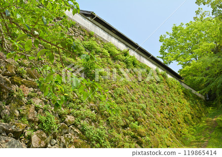 日本的100座大城堡，宇和島城堡 119865414