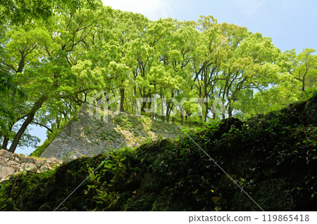 日本的100座大城堡，宇和島城堡 119865418