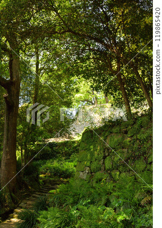 Japan's 100 Great Castles, Uwajima Castle Japan's 100 Great Castles, Uwajima Castle 119865420