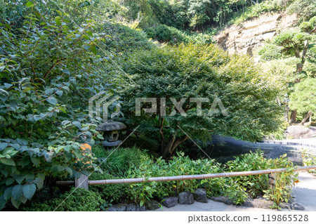Treasure Temple of Kamakura Treasure Temple of Kamakura 119865528
