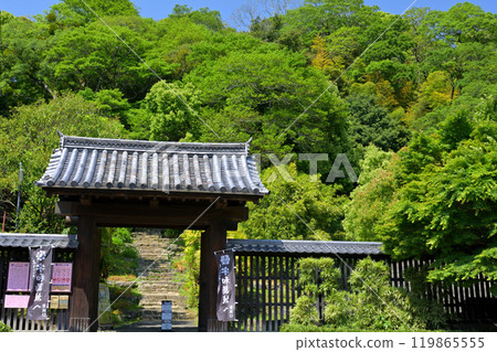 日本的100座大城堡,宇和島城堡 日本的100座大城堡,宇和島城堡 119865555