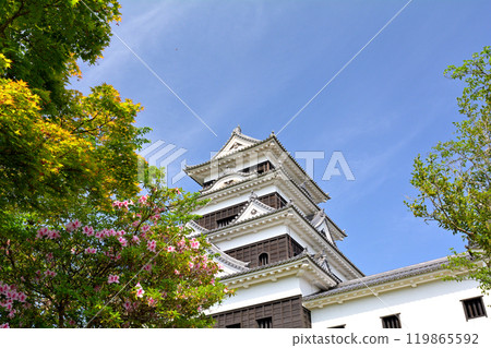 日本的100座大城堡/ Owaki城堡 日本的100座大城堡/ Owaki城堡 119865592