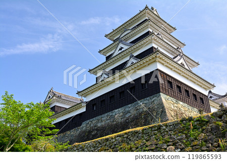 日本的100座大城堡/ Owaki城堡 日本的100座大城堡/ Owaki城堡 119865593