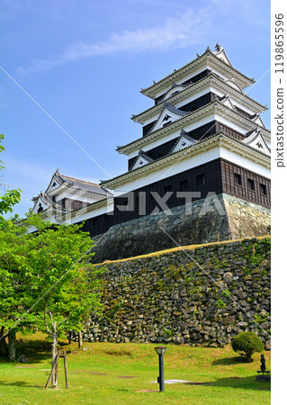 日本的100座大城堡/ Owaki城堡 日本的100座大城堡/ Owaki城堡 119865596