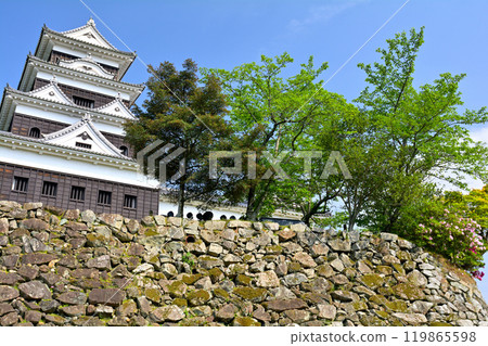 日本的100座大城堡/ Owaki城堡 日本的100座大城堡/ Owaki城堡 119865598